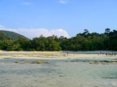 หาดไม้งาม อ่าวไม้งาม อุทยานแห่งชาติหมู่เกาะสุรินทร์